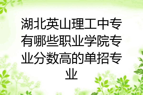 湖北英山理工中专有哪些职业学院专业分数高的单招专业