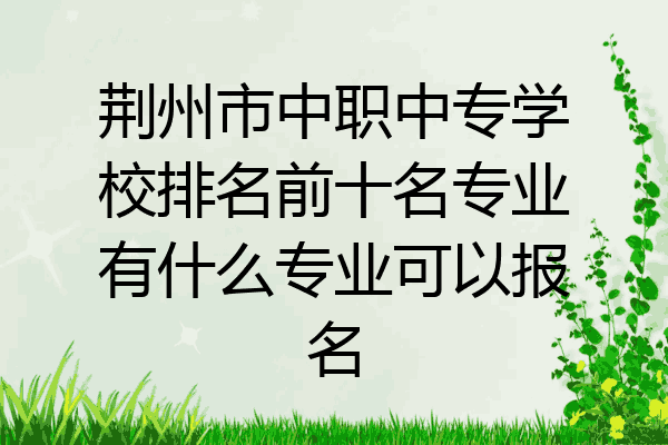 荆州市中职中专学校排名前十名专业有什么专业可以报名