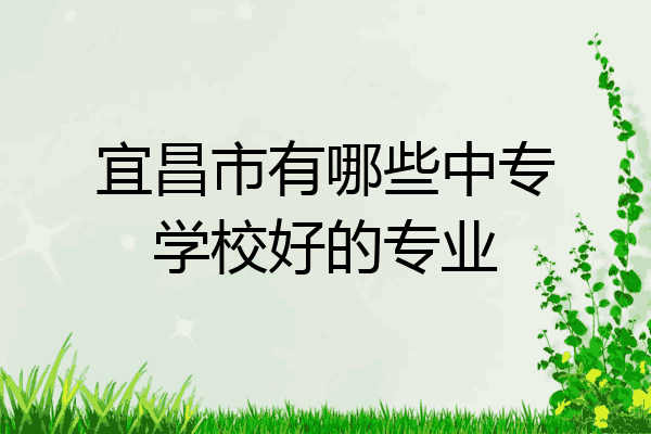 宜昌市有哪些中专学校好的专业