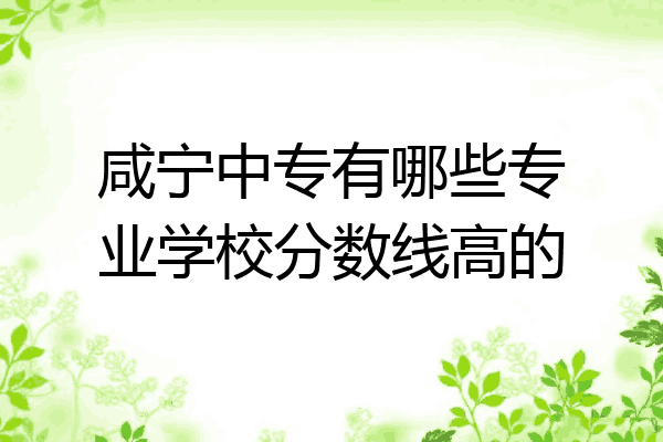 咸宁中专有哪些专业学校分数线高的