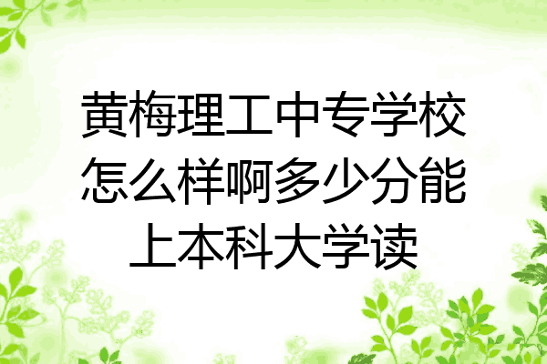 黄梅理工中专学校怎么样啊多少分能上本科大学读