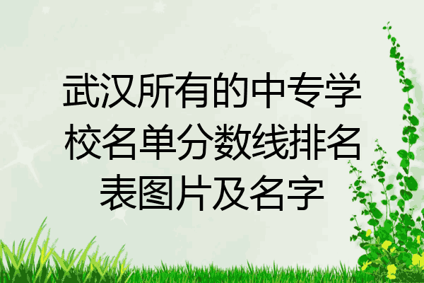 武汉所有的中专学校名单分数线排名表图片及名字