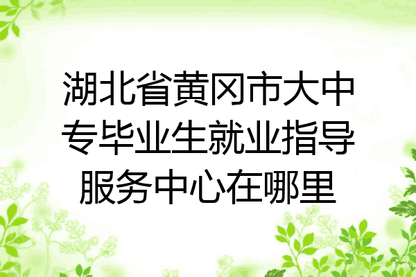 湖北省黄冈市大中专毕业生就业指导服务中心在哪里