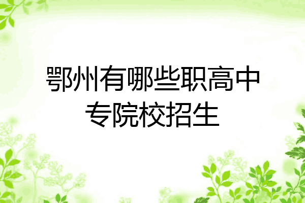 鄂州有哪些职高中专院校招生