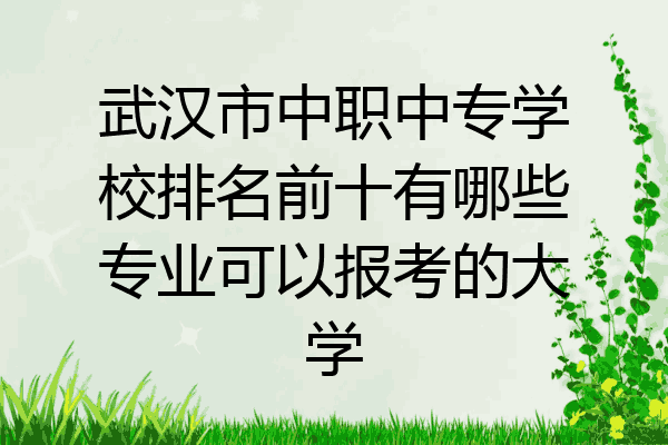 武汉市中职中专学校排名前十有哪些专业可以报考的大学