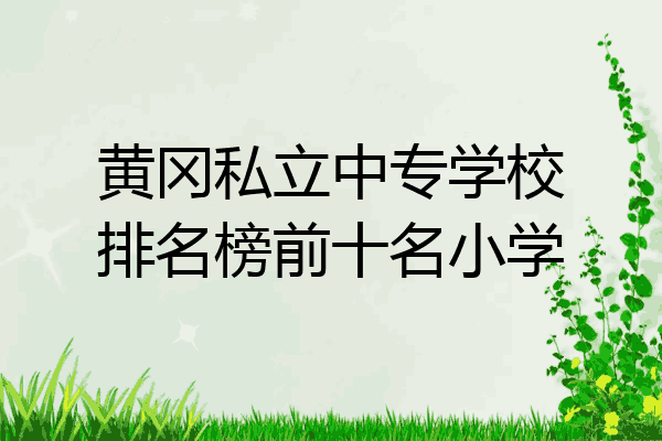 黄冈私立中专学校排名榜前十名小学