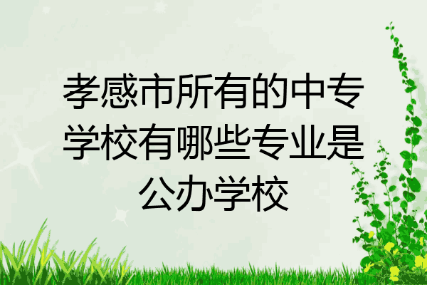 孝感市所有的中专学校有哪些专业是公办学校
