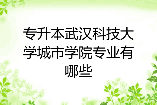 专升本武汉科技大学城市学院专业有哪些