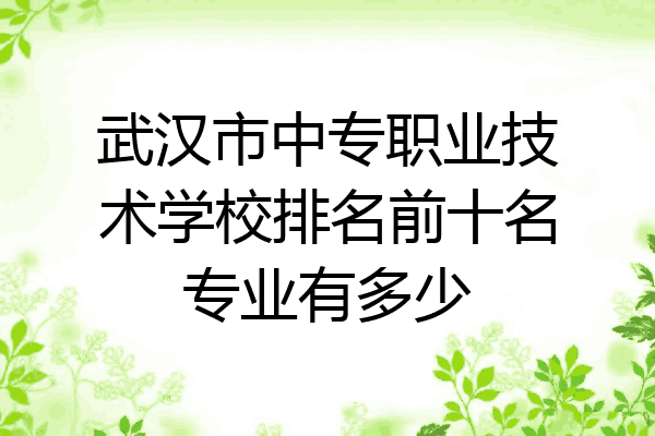 武汉市中专职业技术学校排名前十名专业有多少