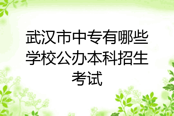 武汉市中专有哪些学校公办本科招生考试