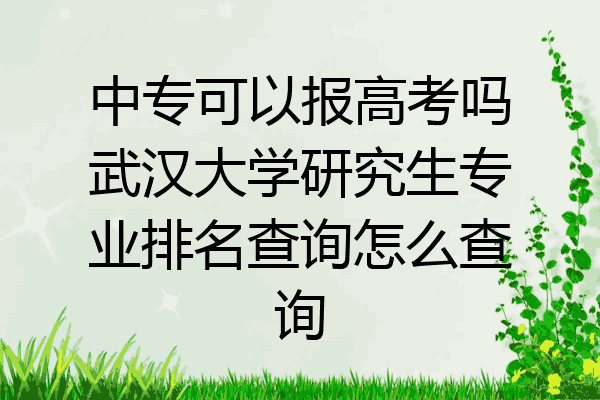 中专可以报高考吗武汉大学研究生专业排名查询怎么查询
