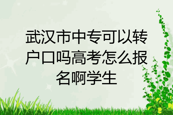 武汉市中专可以转户口吗高考怎么报名啊学生