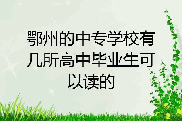 鄂州的中专学校有几所高中毕业生可以读的