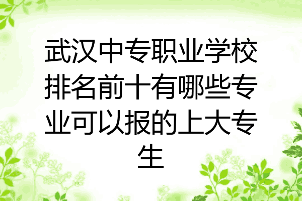 武汉中专职业学校排名前十有哪些专业可以报的上大专生