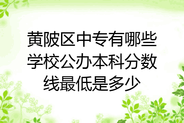 黄陂区中专有哪些学校公办本科分数线最低是多少