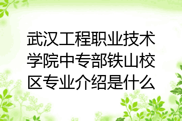 武汉工程职业技术学院中专部铁山校区专业介绍是什么
