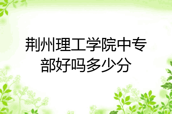 荆州理工学院中专部好吗多少分
