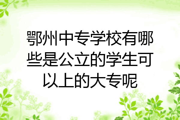 鄂州中专学校有哪些是公立的学生可以上的大专呢