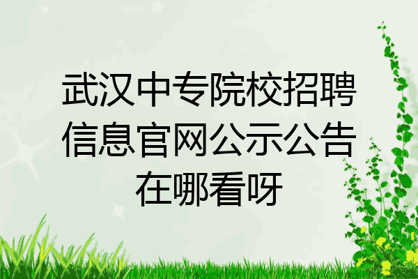 武汉中专院校招聘信息官网公示公告在哪看呀