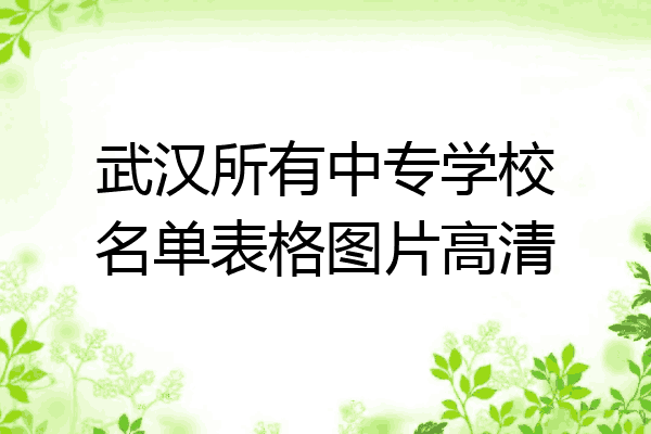 武汉所有中专学校名单表格图片高清