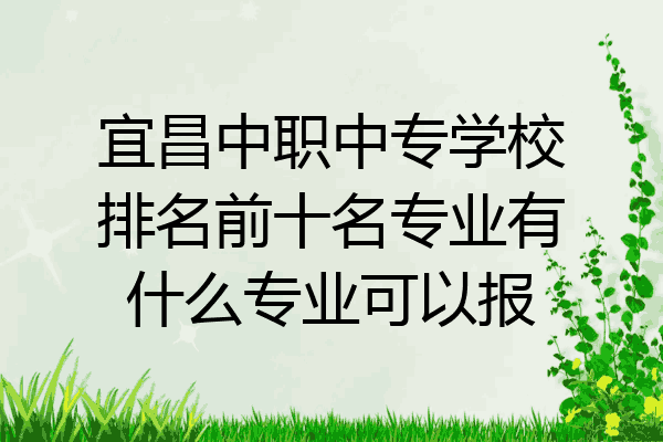 宜昌中职中专学校排名前十名专业有什么专业可以报