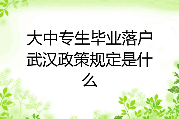 大中专生毕业落户武汉政策规定是什么