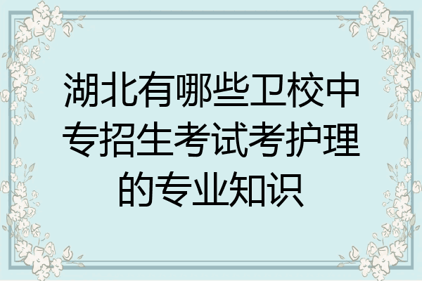 湖北有哪些卫校中专招生考试考护理的专业知识