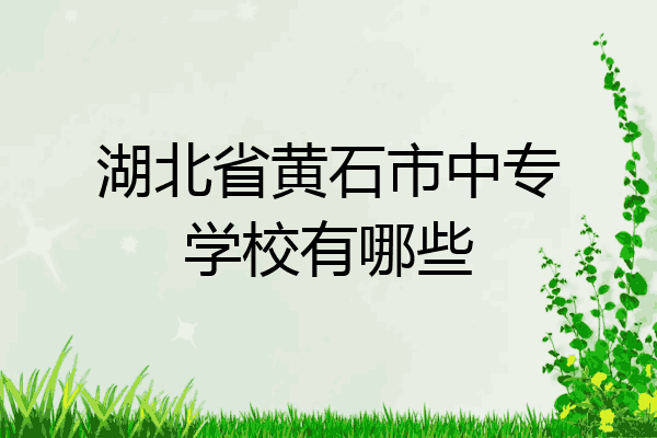湖北省黄石市中专学校有哪些