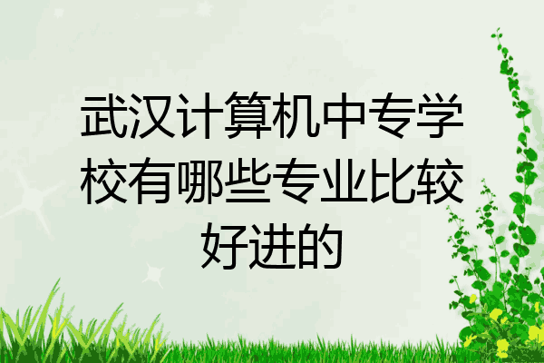 武汉计算机中专学校有哪些专业比较好进的