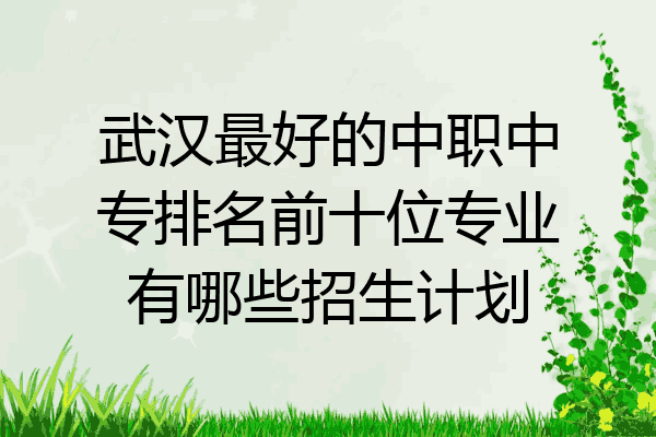 武汉最好的中职中专排名前十位专业有哪些招生计划