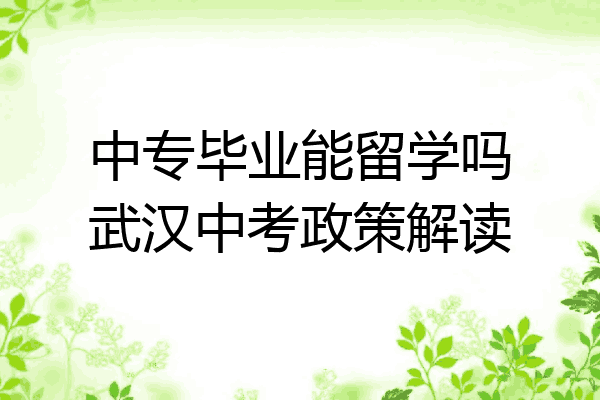 中专毕业能留学吗武汉中考政策解读