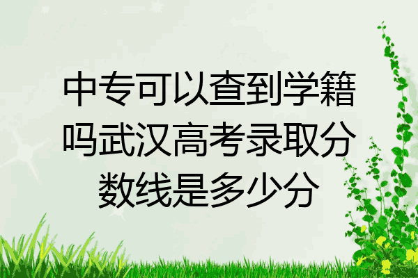 中专可以查到学籍吗武汉高考录取分数线是多少分