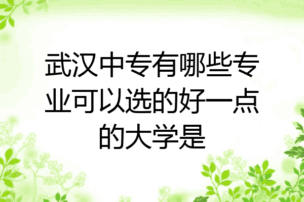 武汉中专有哪些专业可以选的好一点的大学是