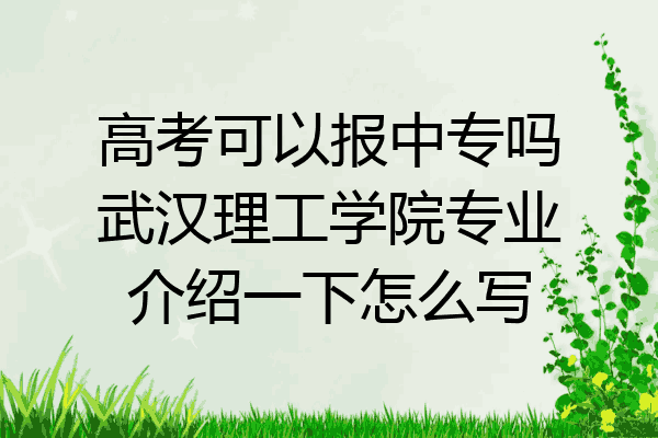 高考可以报中专吗武汉理工学院专业介绍一下怎么写