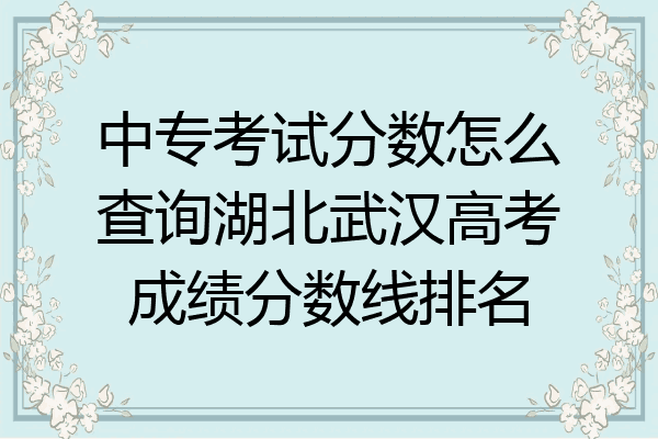 中专考试分数怎么查询湖北武汉高考成绩分数线排名