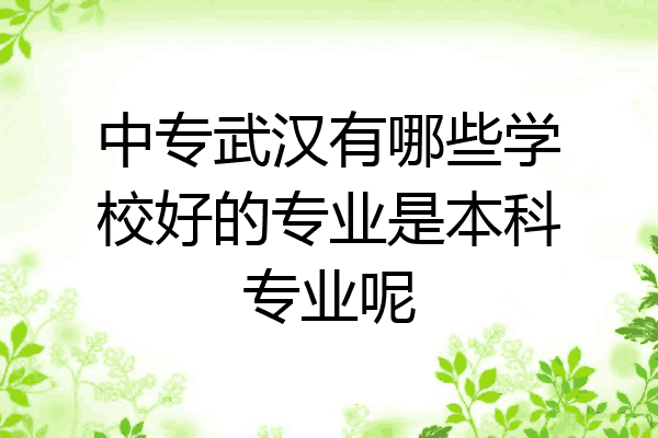 中专武汉有哪些学校好的专业是本科专业呢