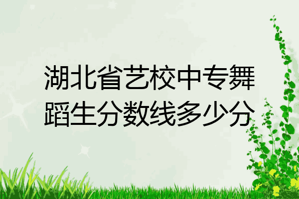 湖北省艺校中专舞蹈生分数线多少分