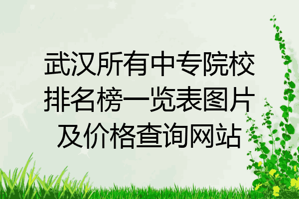 武汉所有中专院校排名榜一览表图片及价格查询网站