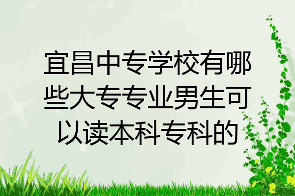 宜昌中专学校有哪些大专专业男生可以读本科专科的