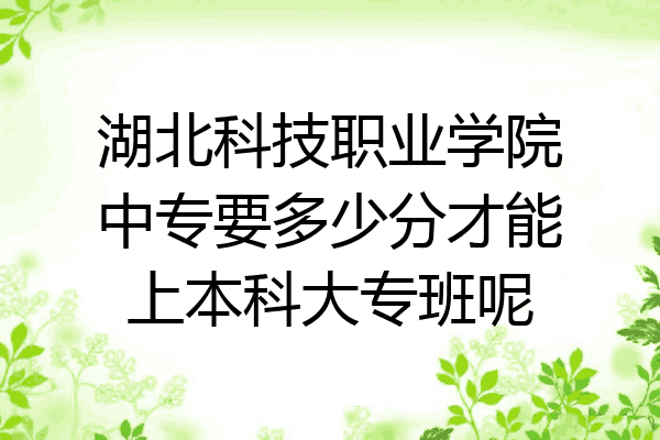 湖北科技职业学院中专要多少分才能上本科大专班呢