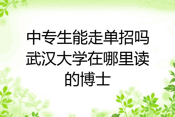 中专生能走单招吗武汉大学在哪里读的博士