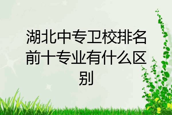 湖北中专卫校排名前十专业有什么区别
