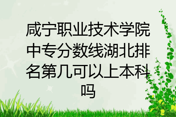 咸宁职业技术学院中专分数线湖北排名第几可以上本科吗