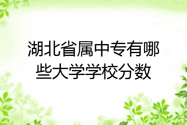 湖北省属中专有哪些大学学校分数