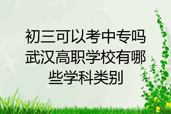 初三可以考中专吗武汉高职学校有哪些学科类别