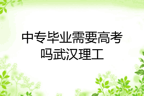 中专毕业需要高考吗武汉理工