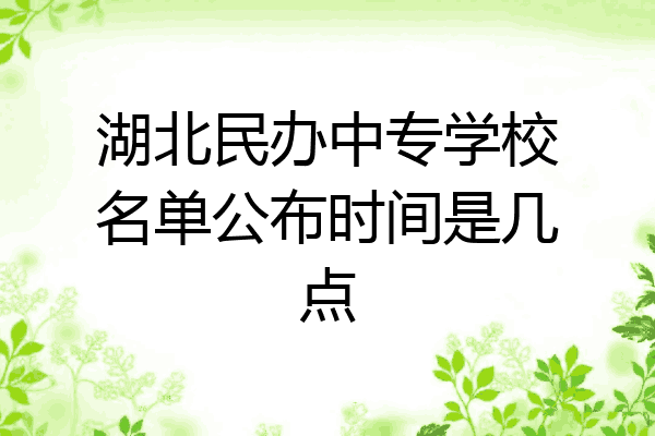 湖北民办中专学校名单公布时间是几点