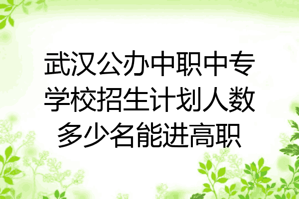 武汉公办中职中专学校招生计划人数多少名能进高职