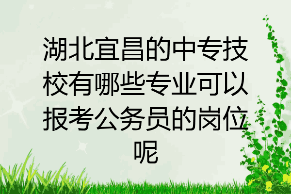 湖北宜昌的中专技校有哪些专业可以报考公务员的岗位呢
