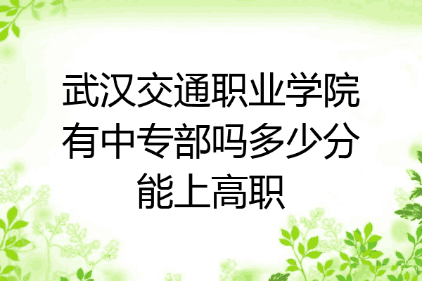 武汉交通职业学院有中专部吗多少分能上高职